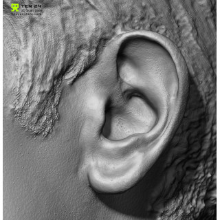 Close Up：Martin Schoellerの顔面図鑑 Close Up：Martin Schoellerの顔面図鑑